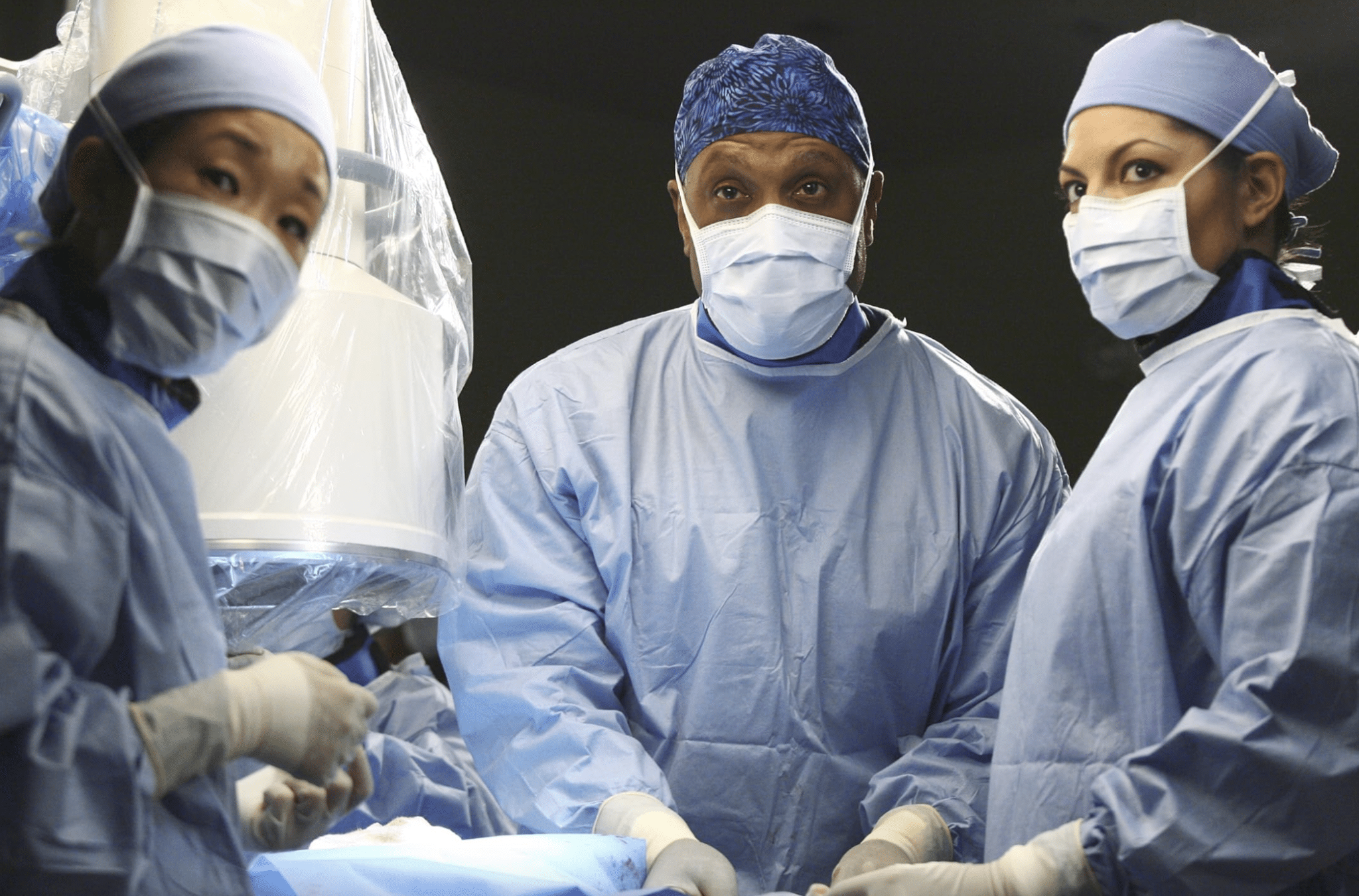 Grey's Anatomy Cast: Meet the Stars of the Hit Medical Drama