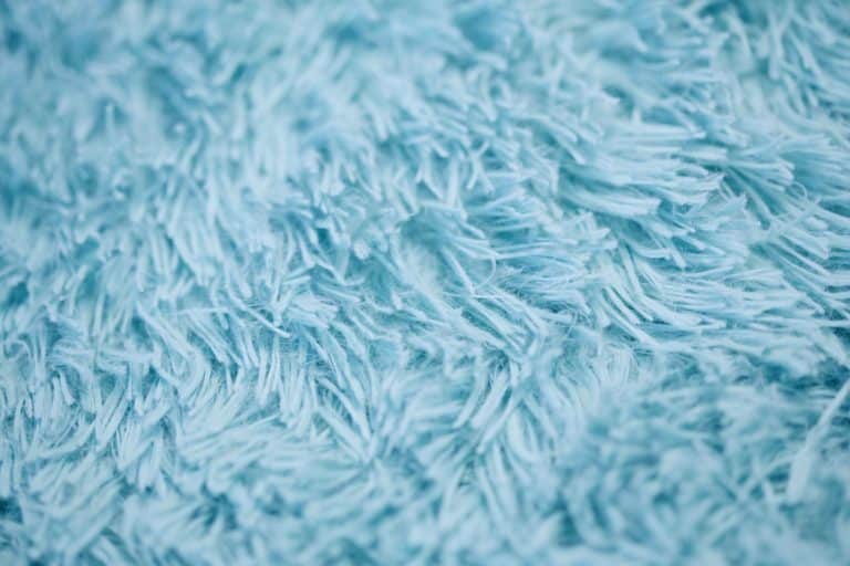 Can You Vacuum Shag Rugs? Tips and Tricks for Keeping Your Shag Rugs Clean