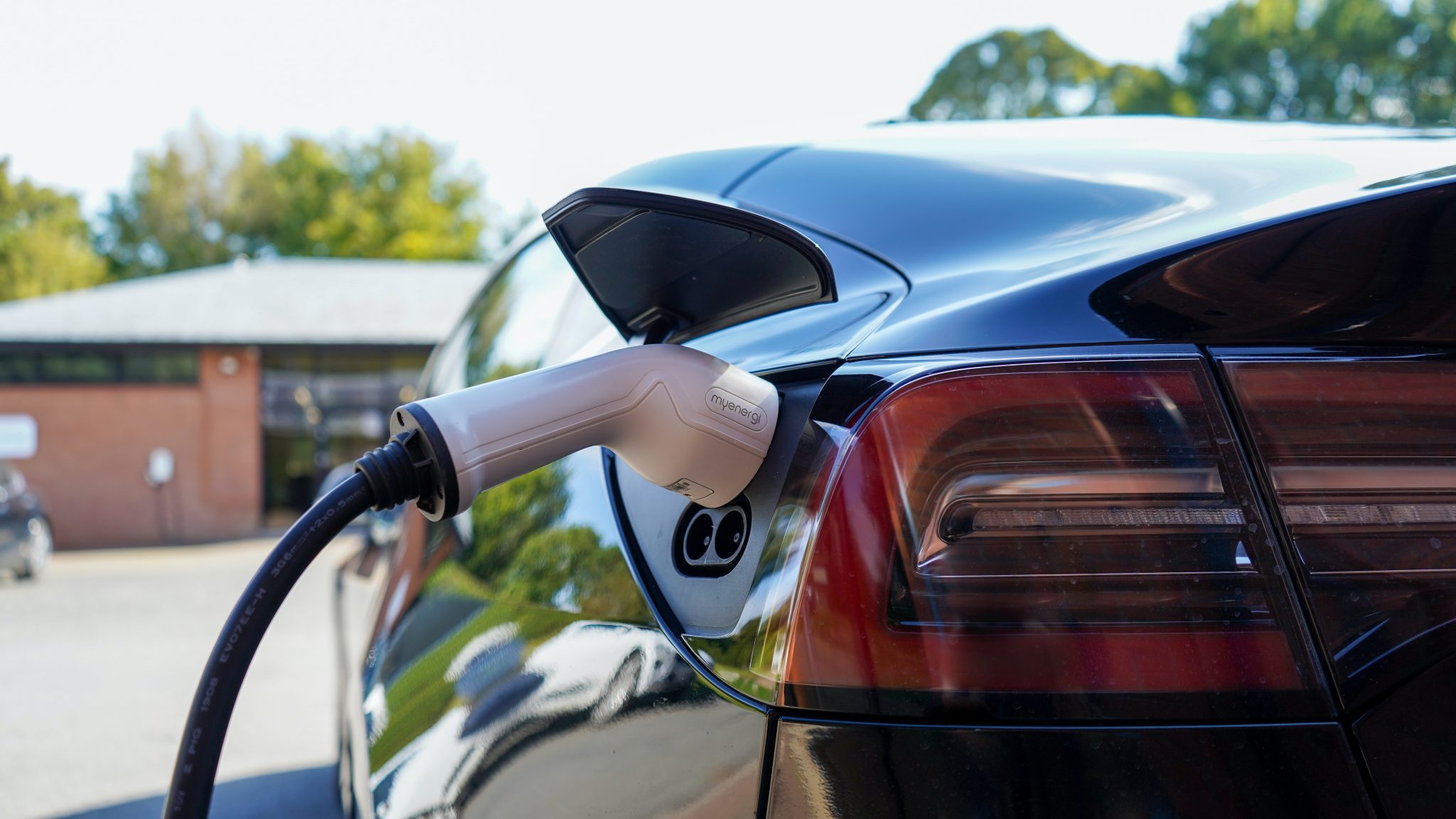 Why Do Conservatives Hate Electric Cars? Exploring the Possible Reasons